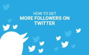 Grow Your Twitter Following
